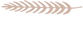 amalfidecor